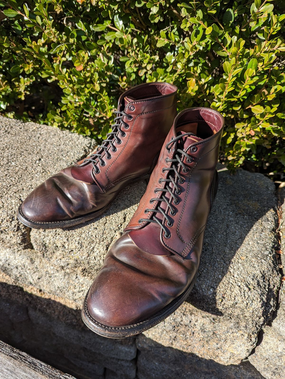Photo by clefke on February 6, 2024 of the Alden Plain Toe Boot in Horween Color 8 Shell Cordovan.