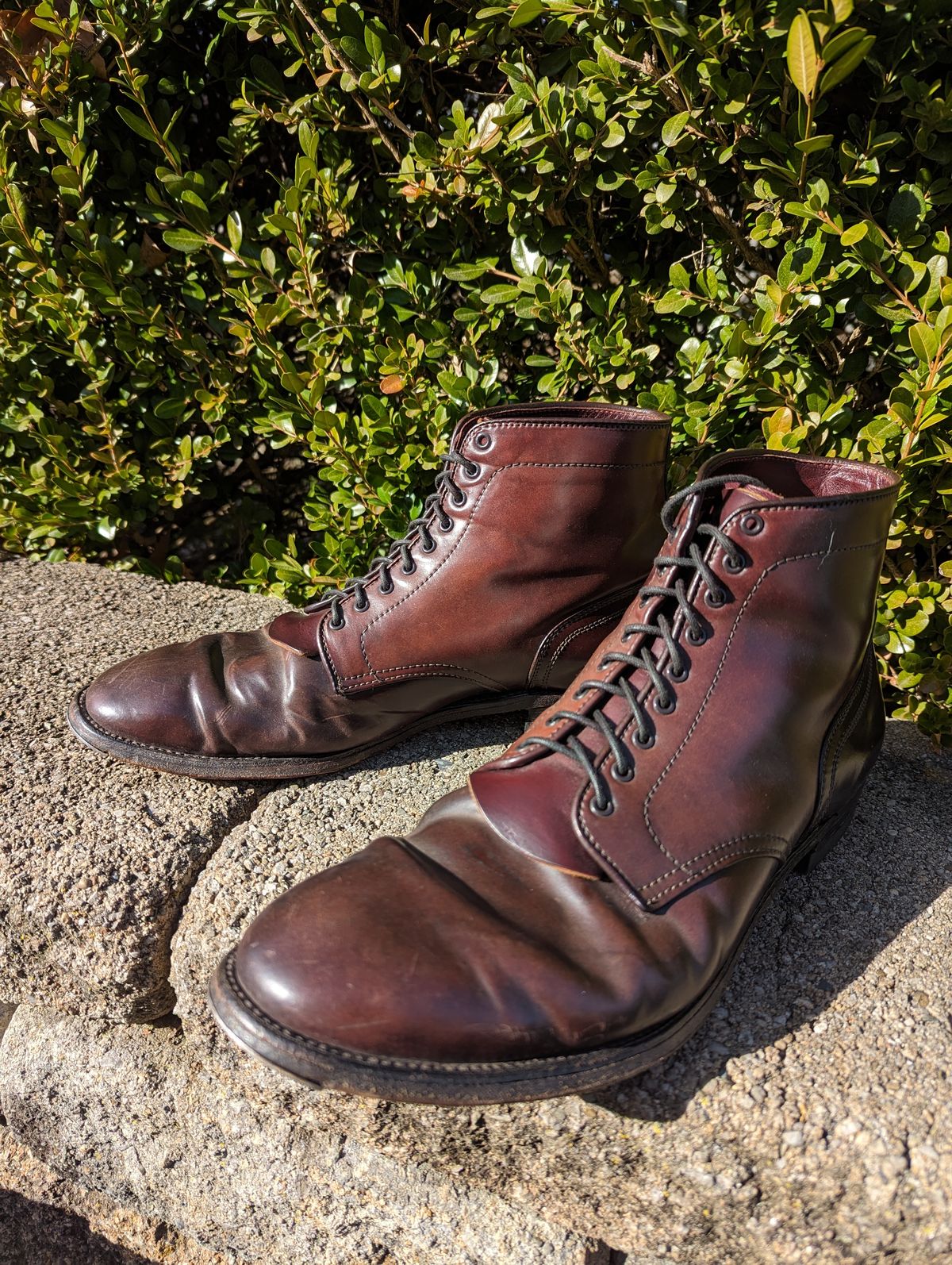 Photo by clefke on February 6, 2024 of the Alden Plain Toe Boot in Horween Color 8 Shell Cordovan.