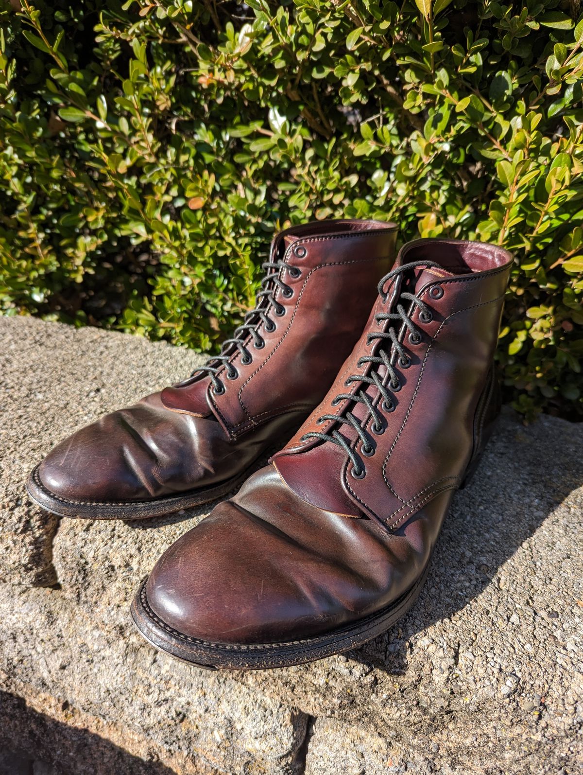 Photo by clefke on February 6, 2024 of the Alden Plain Toe Boot in Horween Color 8 Shell Cordovan.