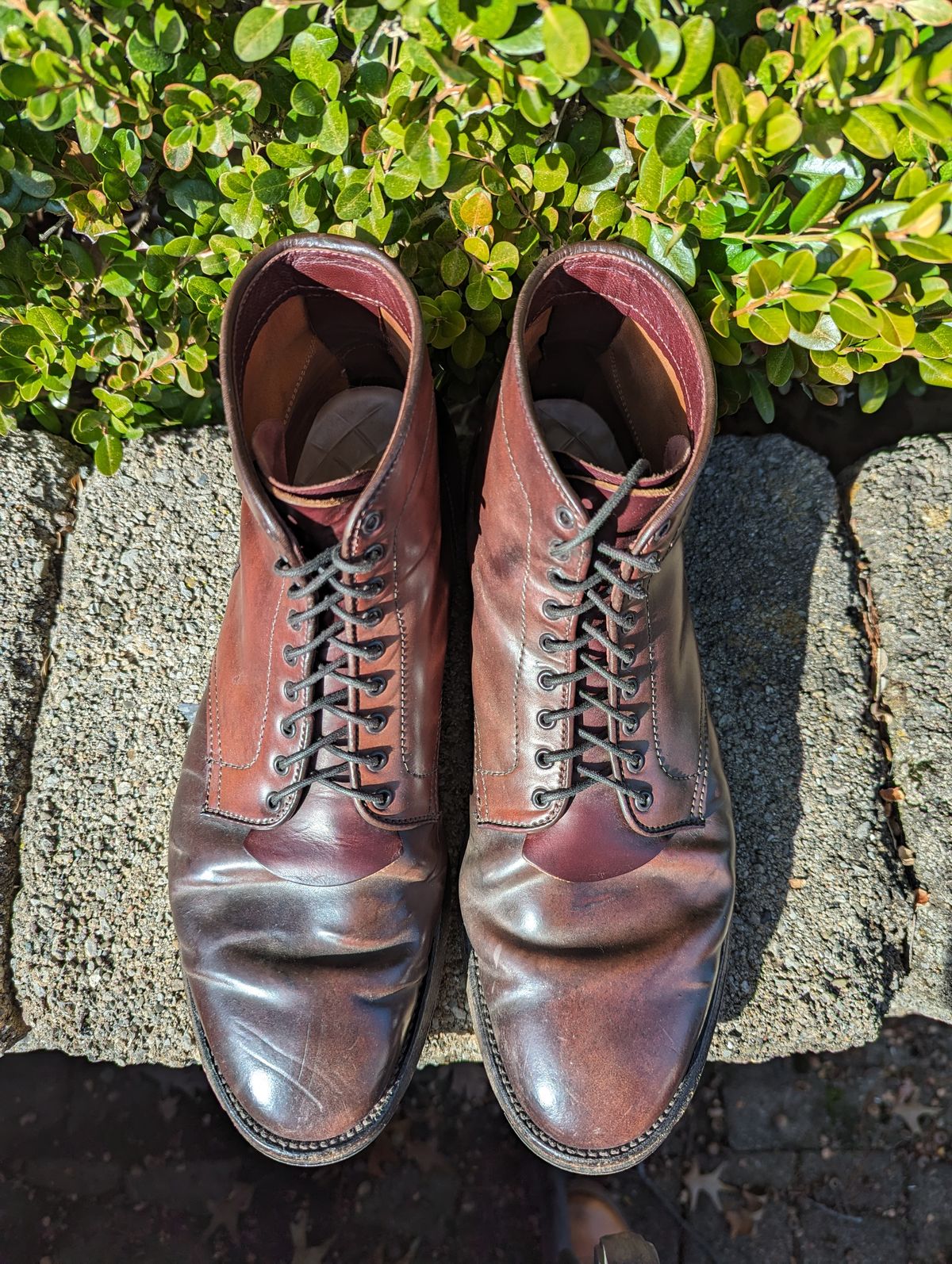 Photo by clefke on February 6, 2024 of the Alden Plain Toe Boot in Horween Color 8 Shell Cordovan.