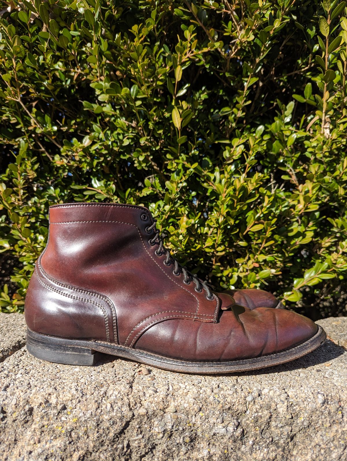 Photo by clefke on February 6, 2024 of the Alden Plain Toe Boot in Horween Color 8 Shell Cordovan.