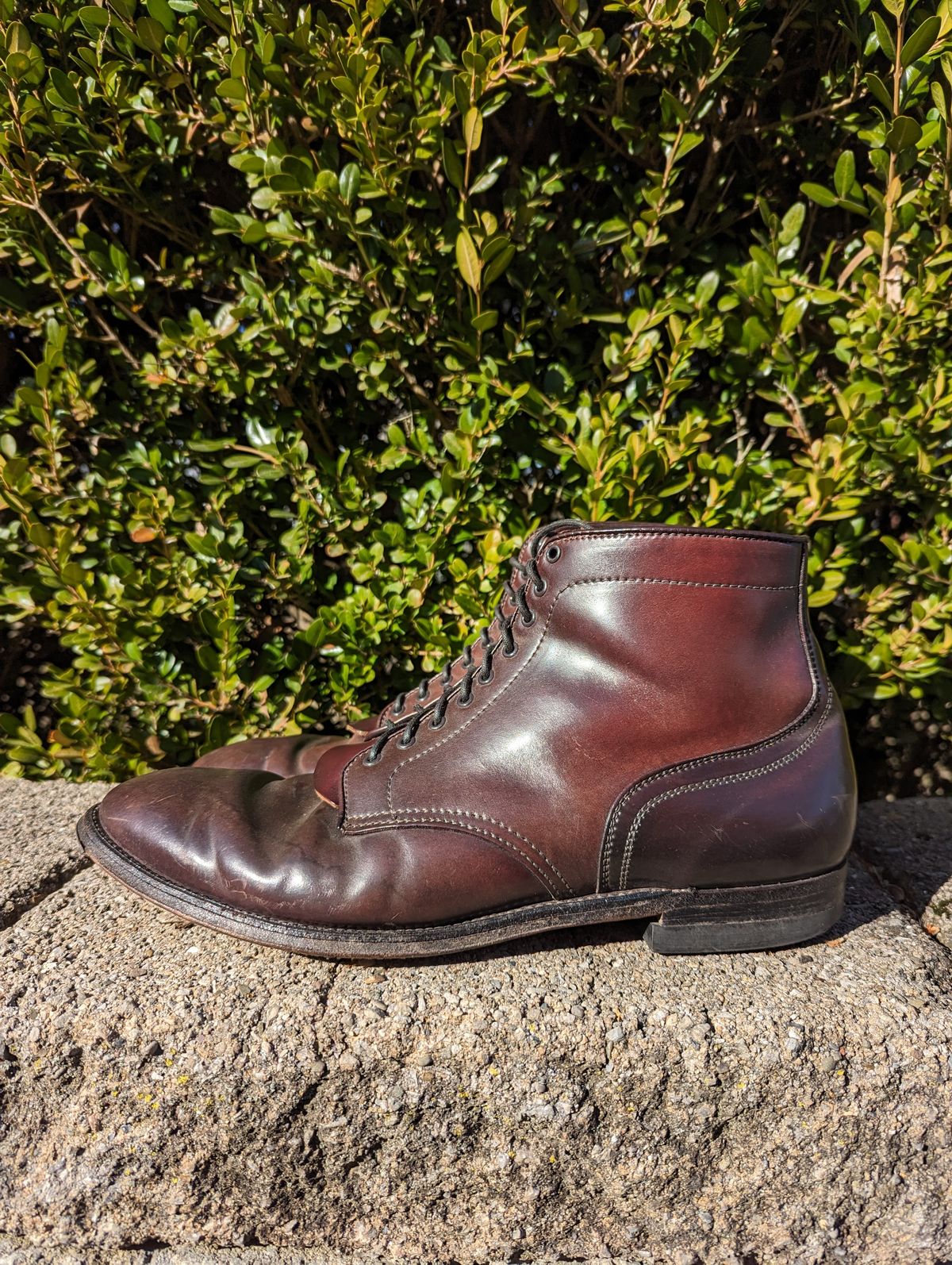 Photo by clefke on February 6, 2024 of the Alden Plain Toe Boot in Horween Color 8 Shell Cordovan.
