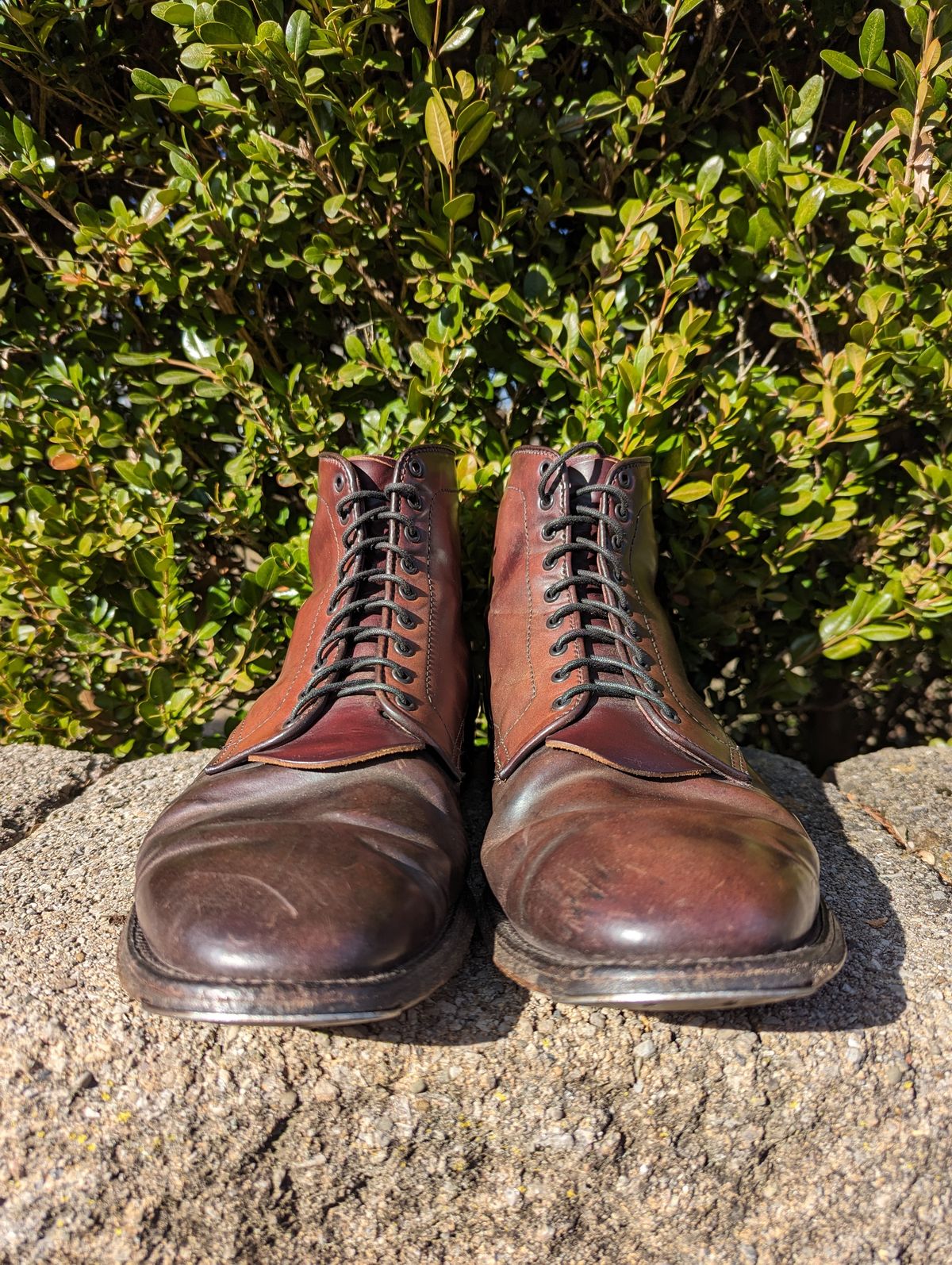 Photo by clefke on February 6, 2024 of the Alden Plain Toe Boot in Horween Color 8 Shell Cordovan.