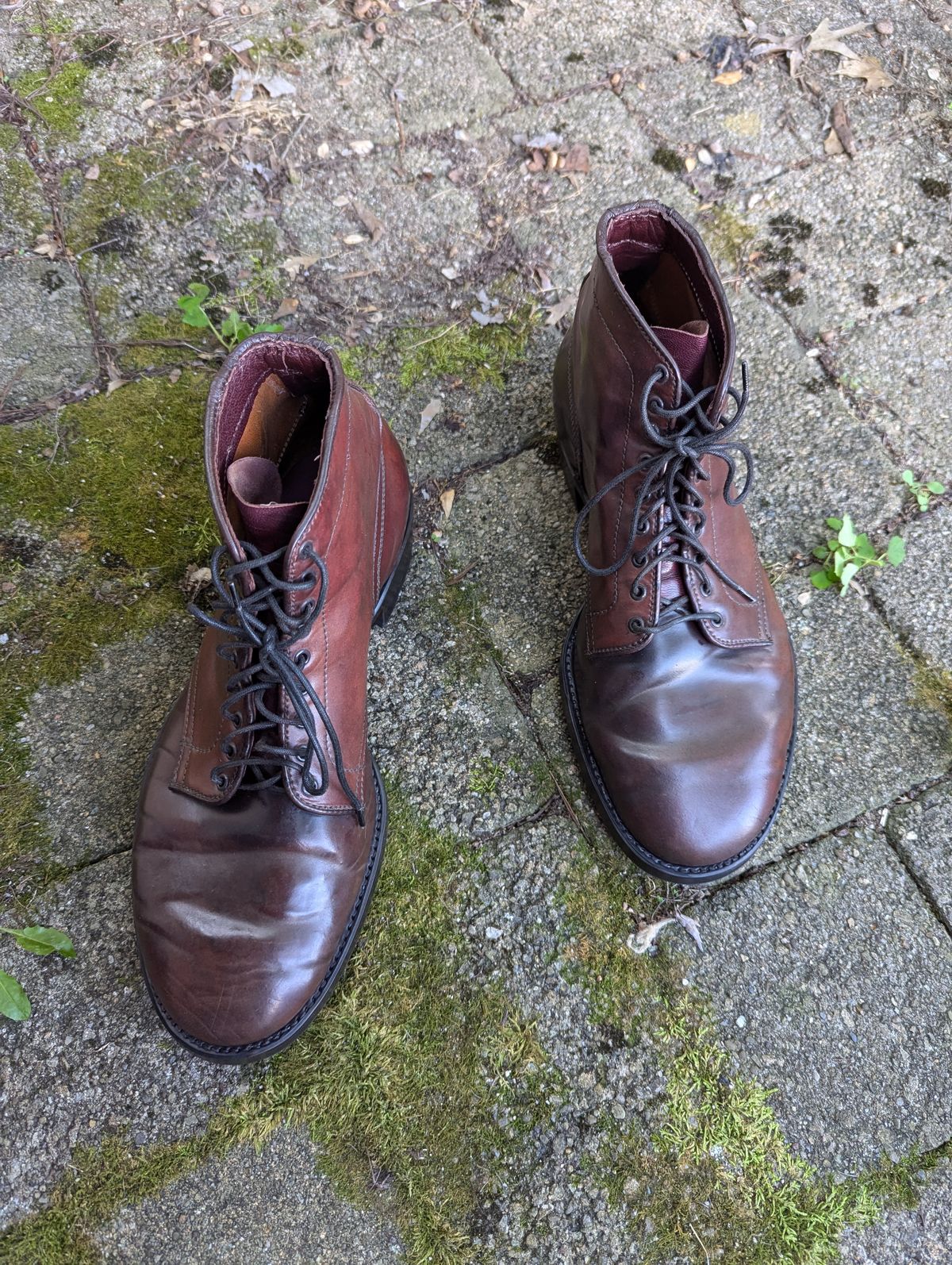 Photo by clefke on August 7, 2024 of the Alden Plain Toe Boot in Horween Color 8 Shell Cordovan.