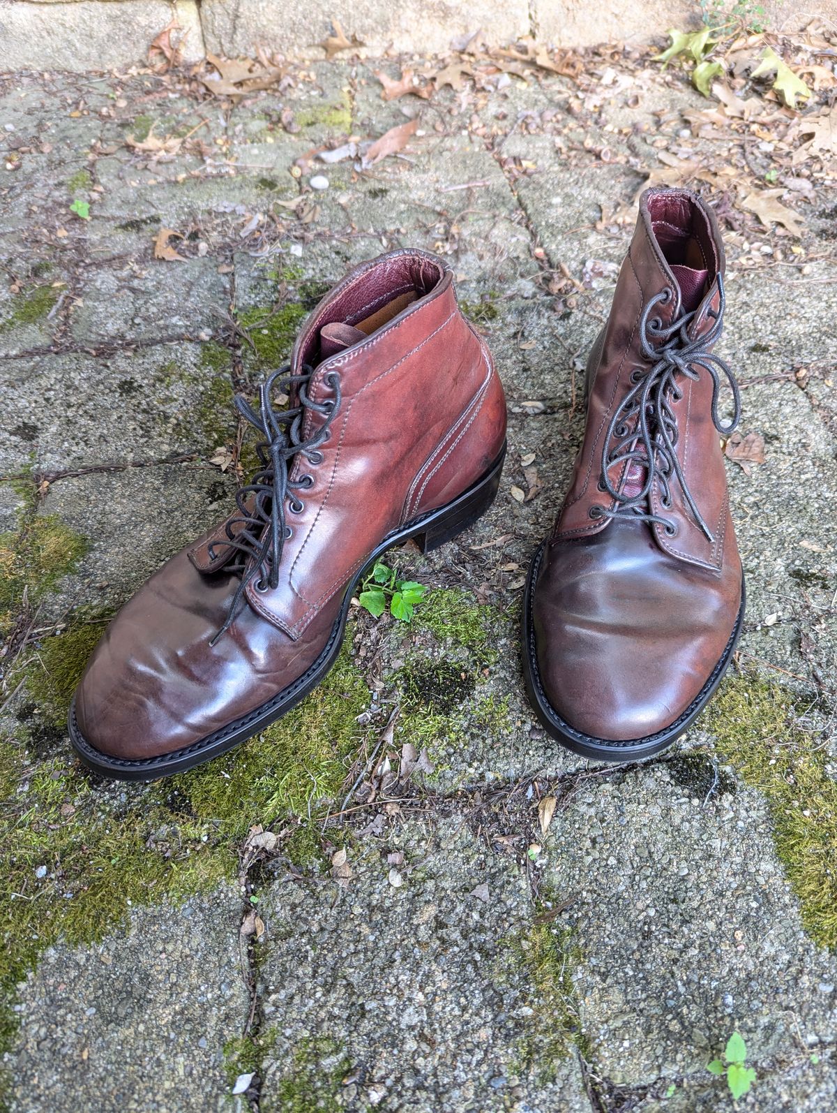 Photo by clefke on August 7, 2024 of the Alden Plain Toe Boot in Horween Color 8 Shell Cordovan.