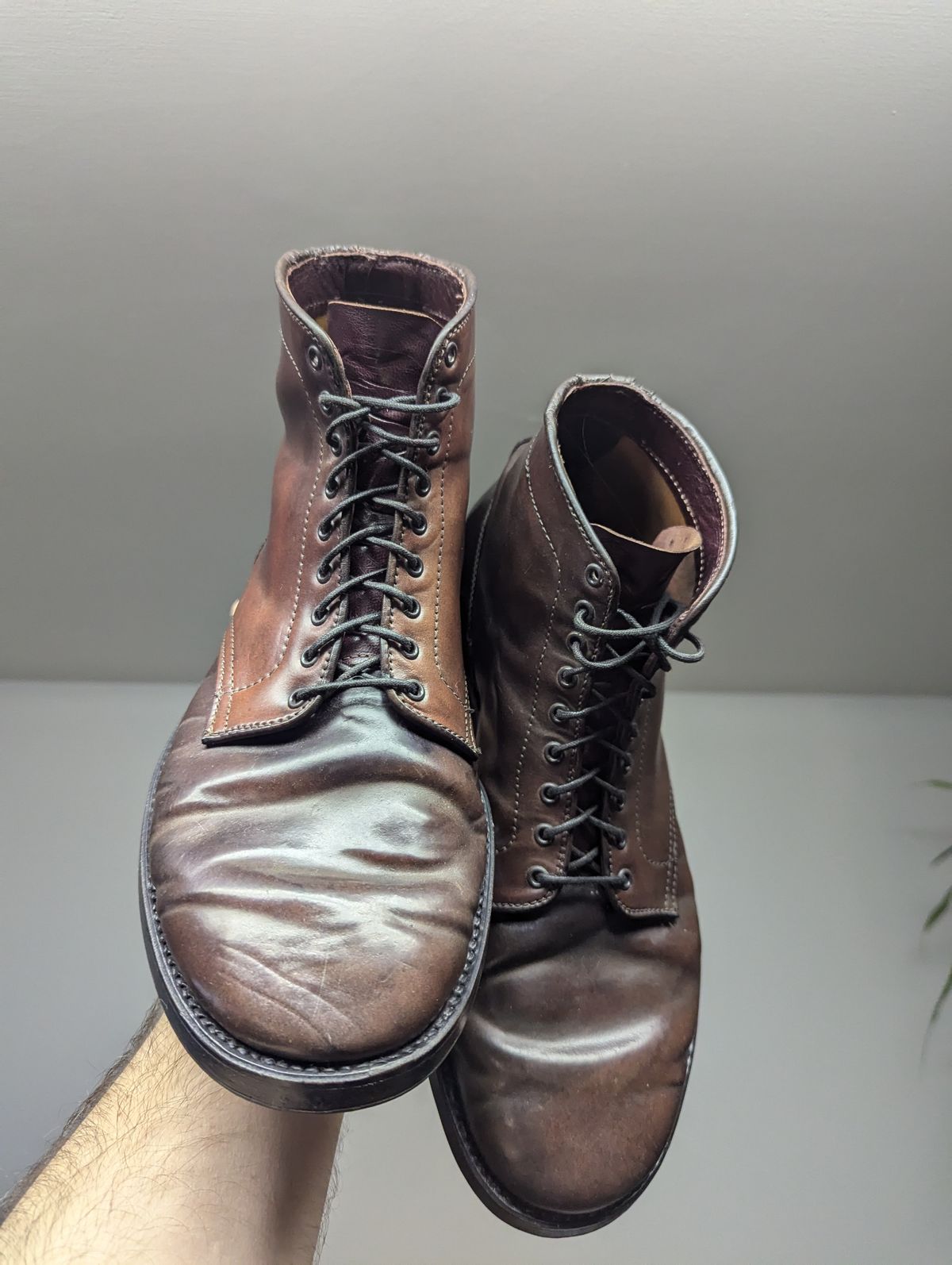 Photo by clefke on August 14, 2024 of the Alden Plain Toe Boot in Horween Color 8 Shell Cordovan.