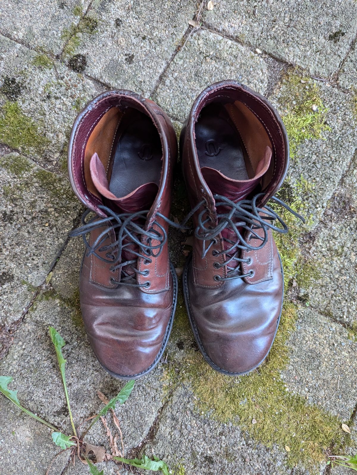 Photo by clefke on September 8, 2024 of the Alden Plain Toe Boot in Horween Color 8 Shell Cordovan.