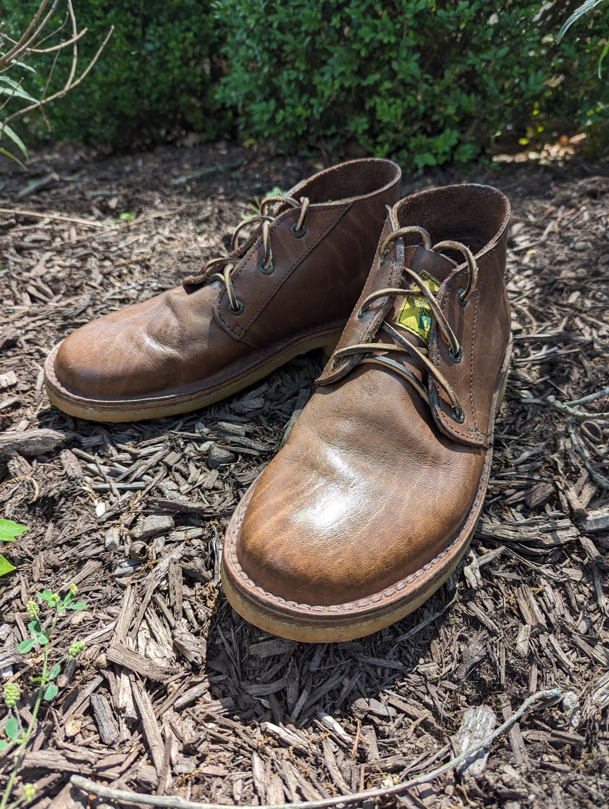 Photo by clefke on July 4, 2023 of the Jim Green Vellie in African Buffalo Skin.