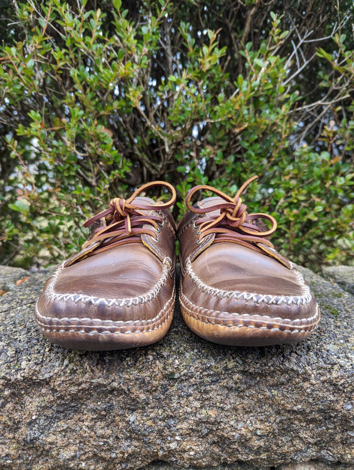 Photo by clefke on December 14, 2022 of the Quoddy Blucher in Horween Olive Chromexcel.