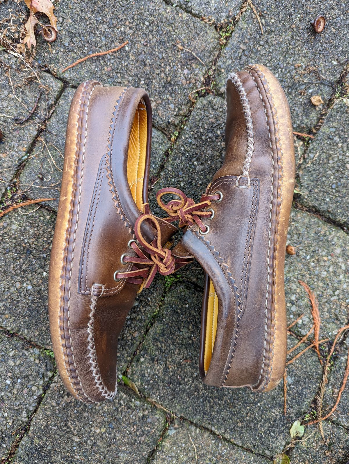 Photo by clefke on December 14, 2022 of the Quoddy Blucher in Horween Olive Chromexcel.