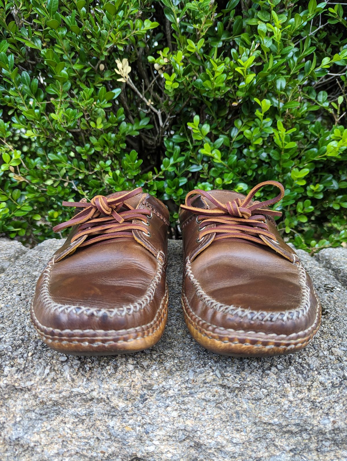 Photo by clefke on June 23, 2023 of the Quoddy Blucher in Horween Olive Chromexcel.