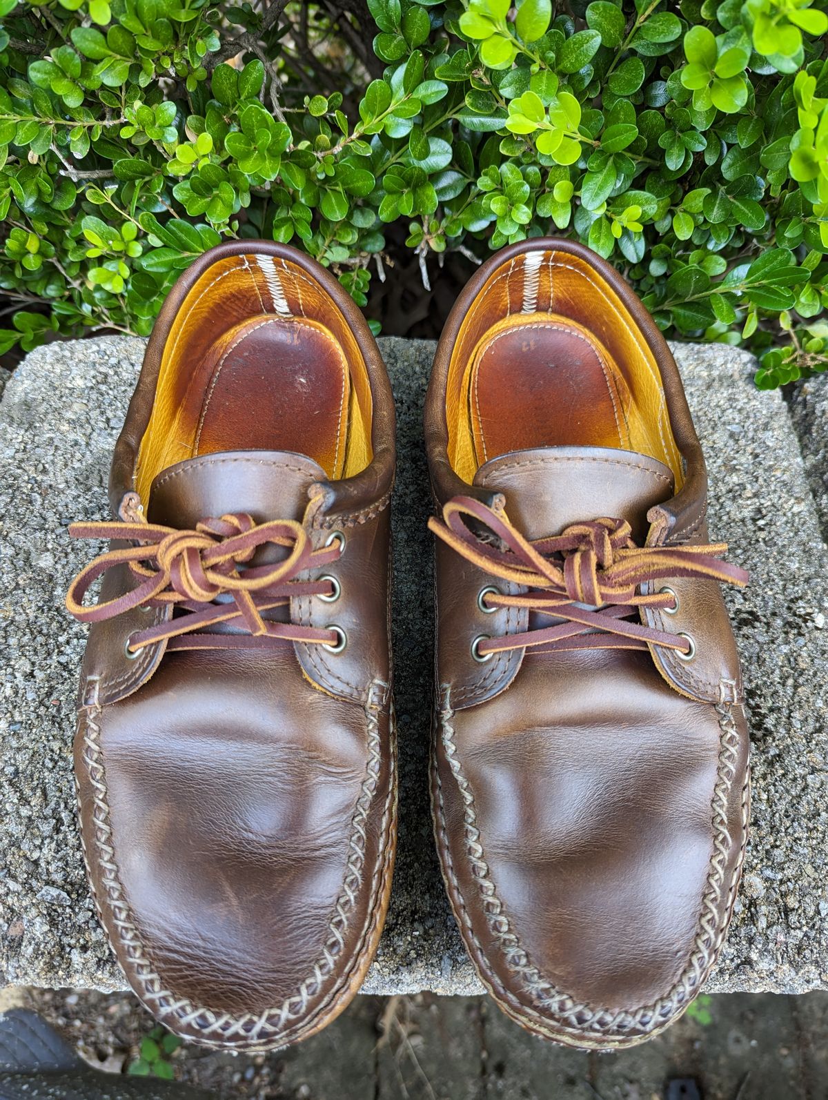 Photo by clefke on June 23, 2023 of the Quoddy Blucher in Horween Olive Chromexcel.