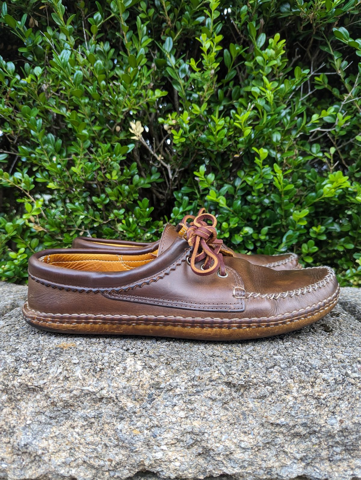 Photo by clefke on June 23, 2023 of the Quoddy Blucher in Horween Olive Chromexcel.