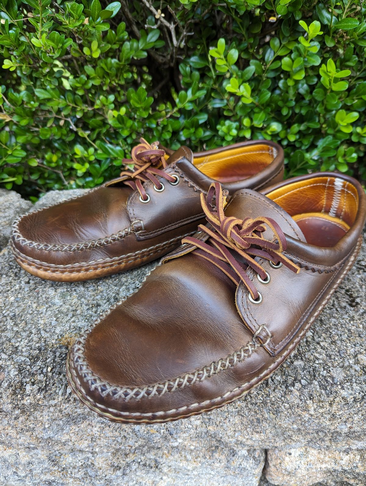 Photo by clefke on June 23, 2023 of the Quoddy Blucher in Horween Olive Chromexcel.