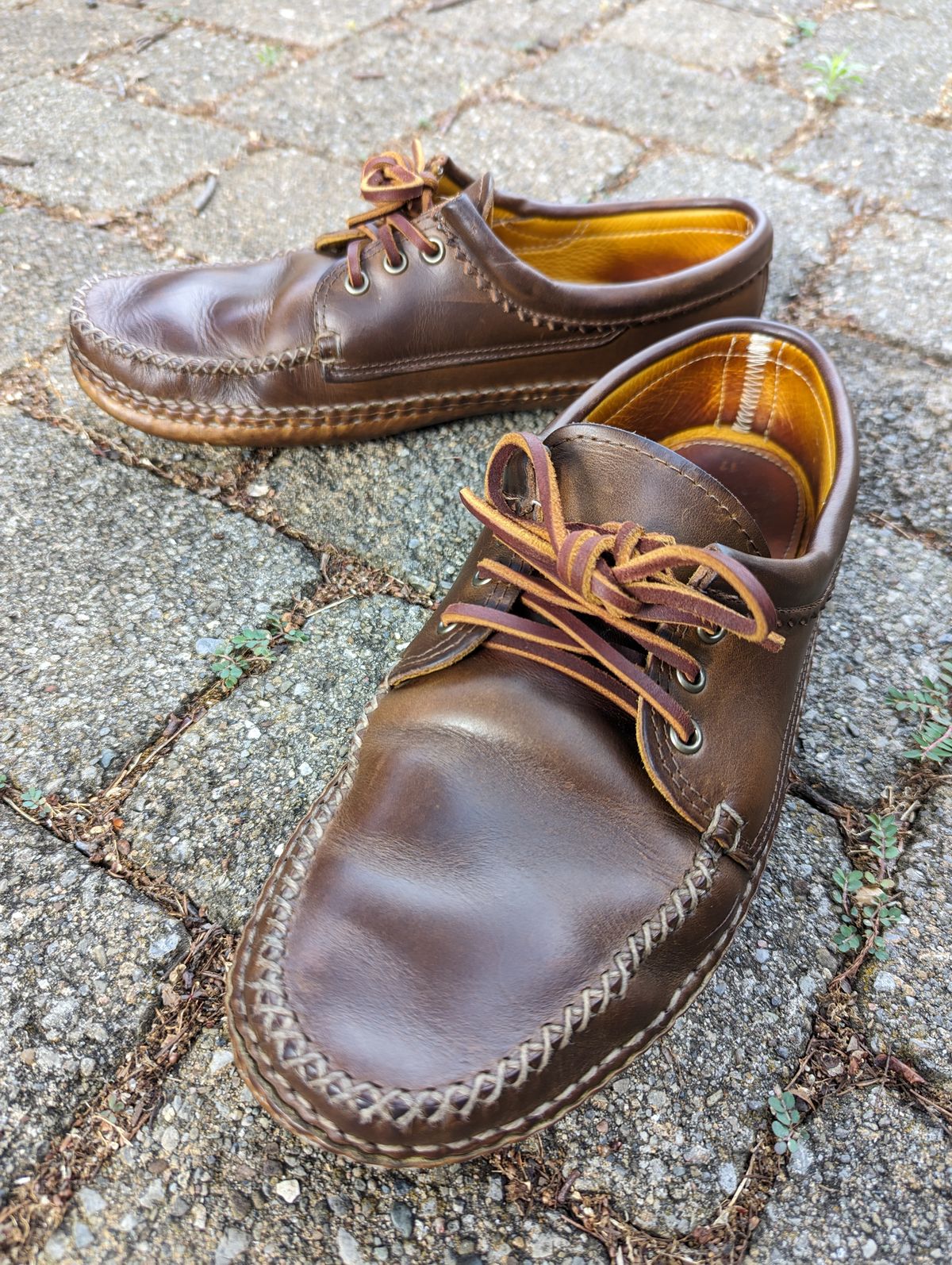 Photo by clefke on June 23, 2023 of the Quoddy Blucher in Horween Olive Chromexcel.