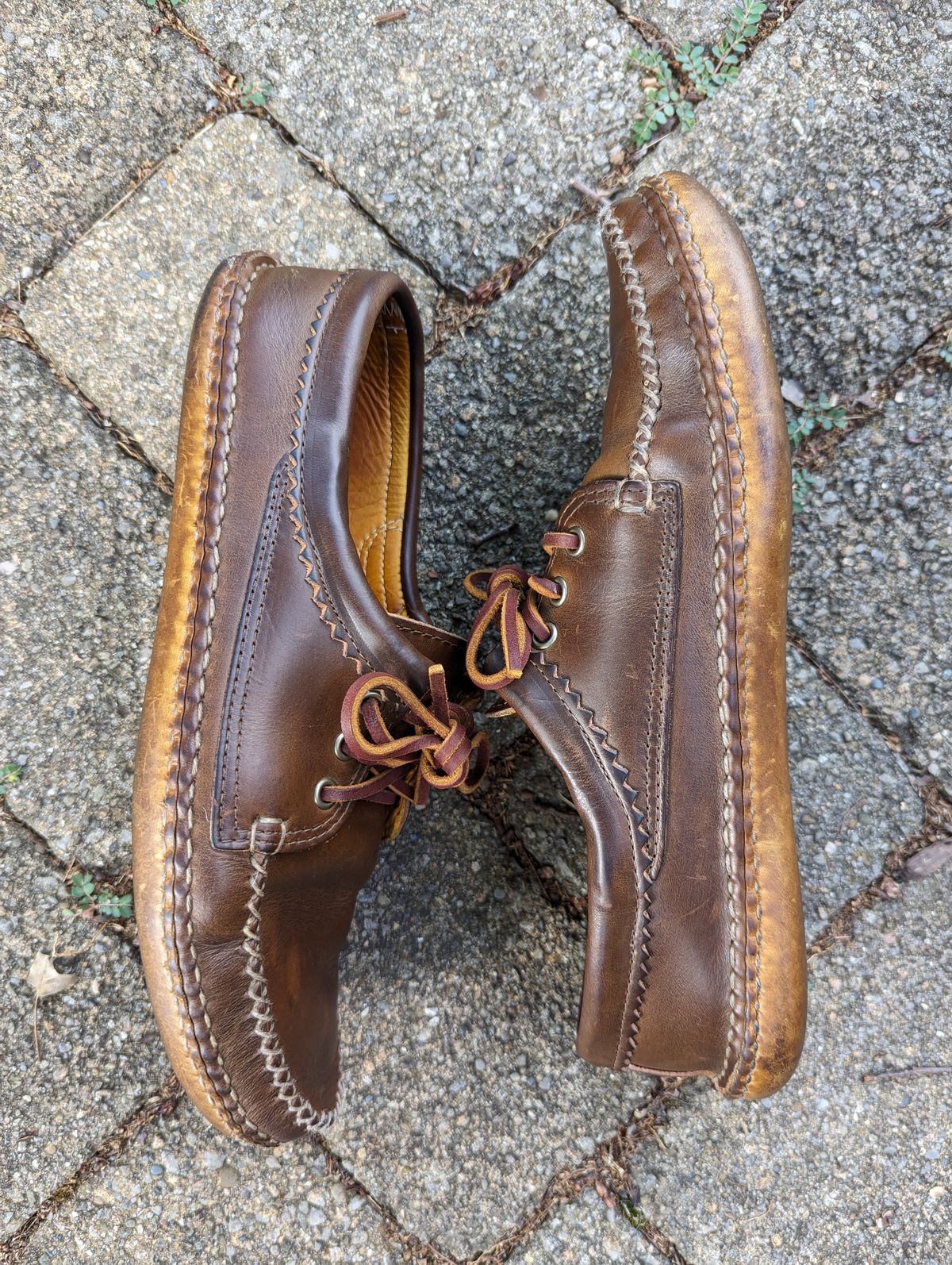 Photo by clefke on June 23, 2023 of the Quoddy Blucher in Horween Olive Chromexcel.