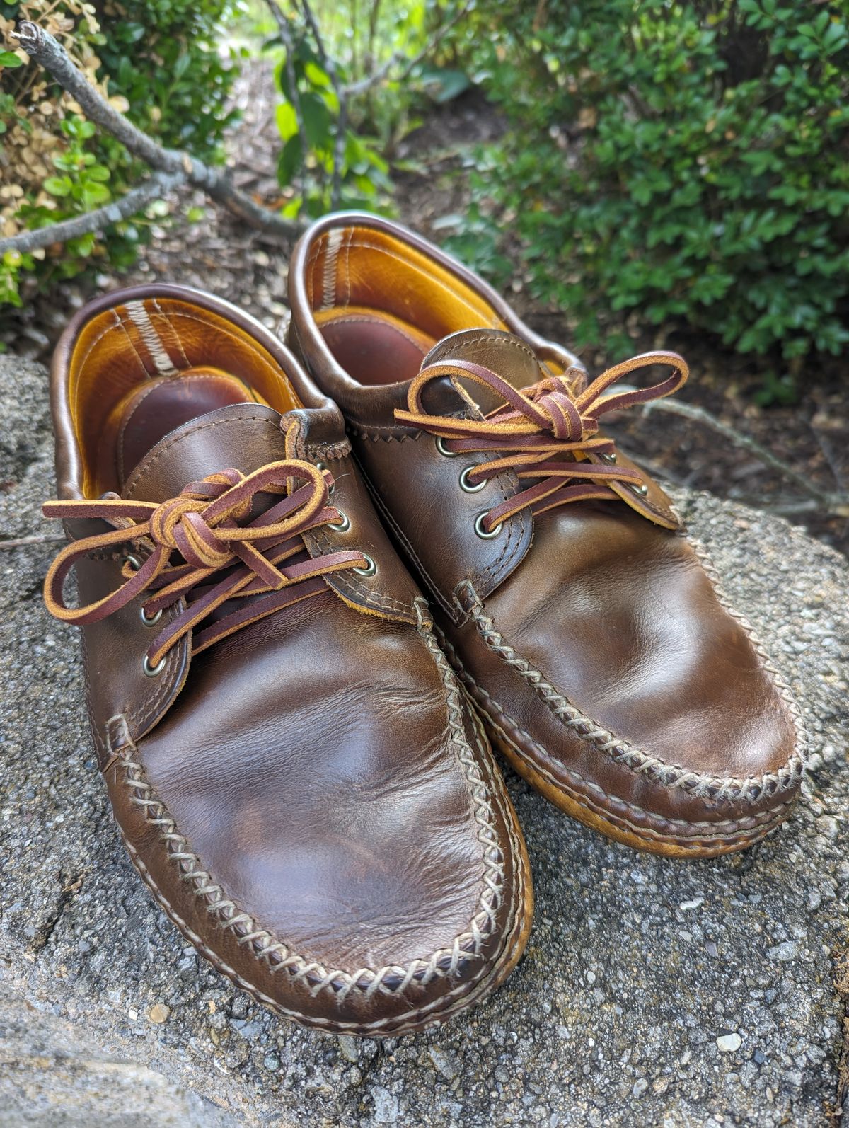 Photo by clefke on June 23, 2023 of the Quoddy Blucher in Horween Olive Chromexcel.