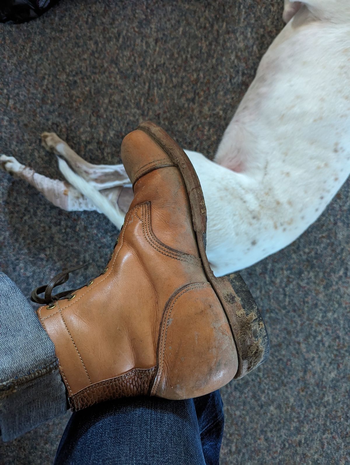 Photo by clefke on February 3, 2024 of the M.F. Boot Co Service Boot in Sepici Tumbled Waxed Natural Veg Tan.