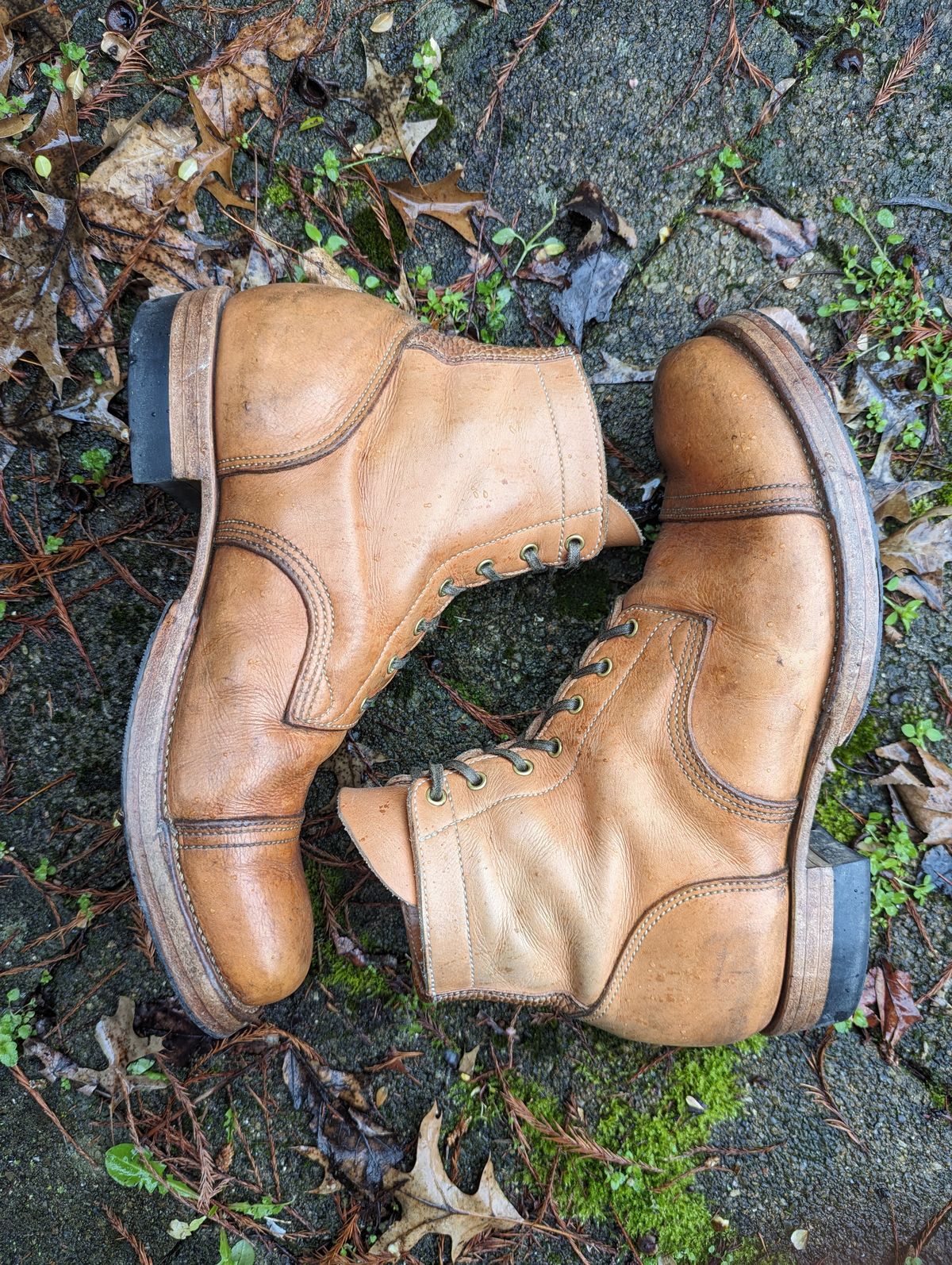 Photo by clefke on April 4, 2024 of the M.F. Boot Co Service Boot in Sepici Tumbled Waxed Natural Veg Tan.