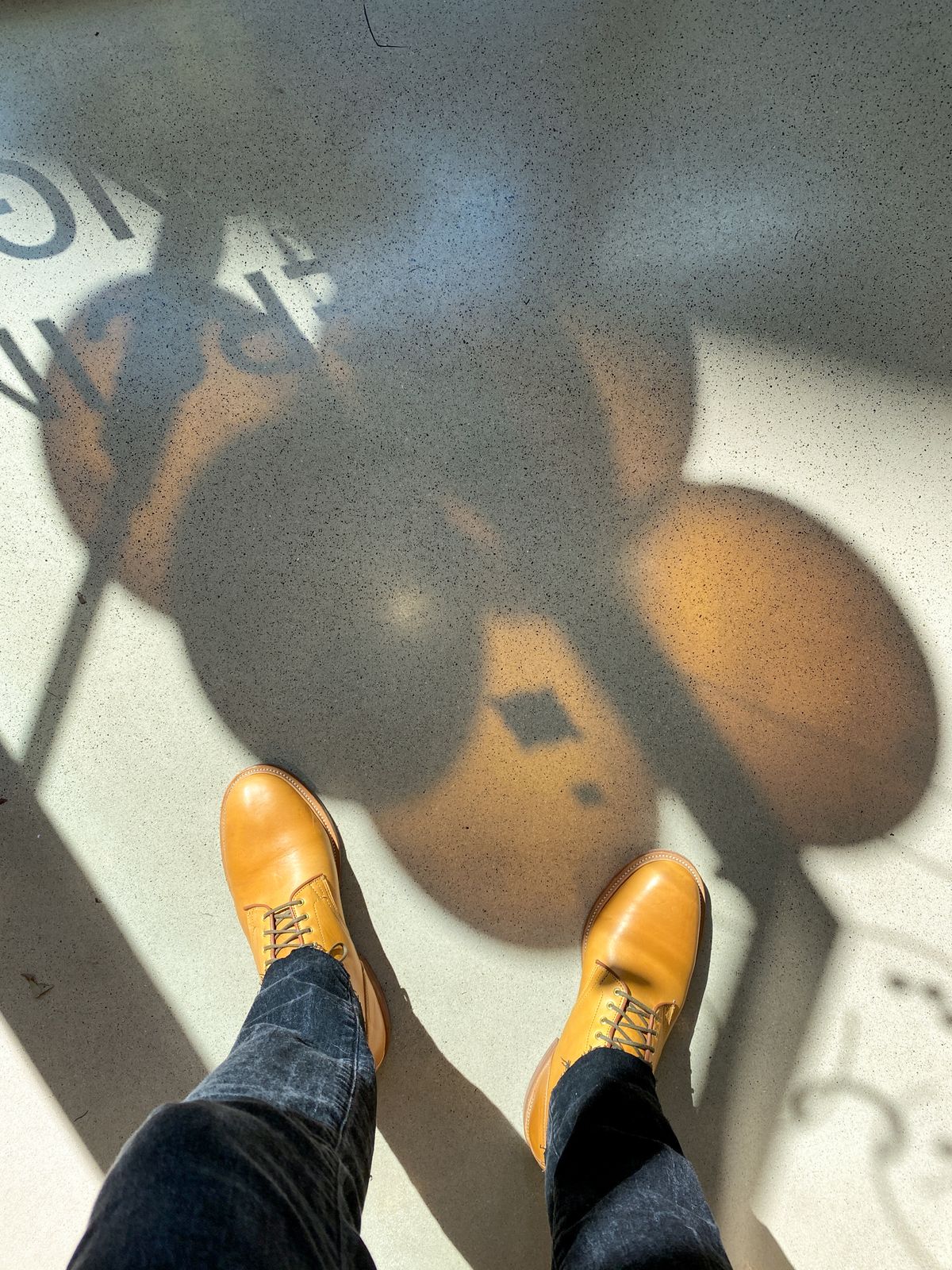 Photo by sixtyreid on October 5, 2022 of the Viberg Officer Boot in Shinki Camel Latigo Horsehide.