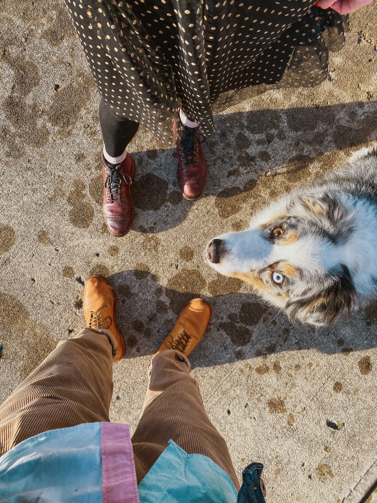 Photo by sixtyreid on January 3, 2023 of the Viberg Officer Boot in Shinki Camel Latigo Horsehide.