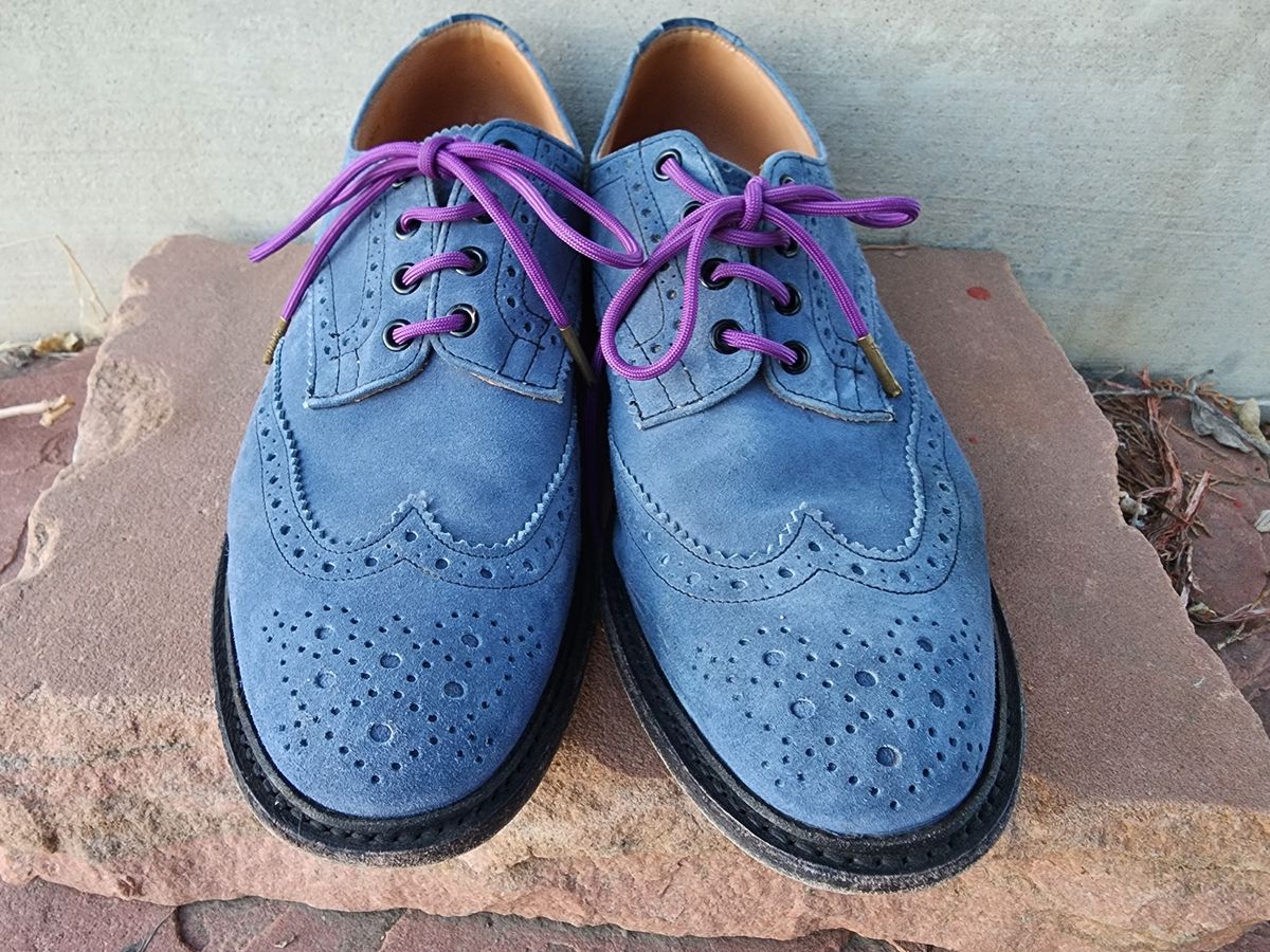 Photo by PrimordialOohs on February 6, 2023 of the Tricker's Bourton Country Shoe in Zonta Indigo Castorino Suede.