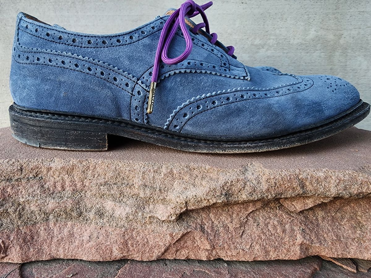 Photo by PrimordialOohs on February 6, 2023 of the Tricker's Bourton Country Shoe in Zonta Indigo Castorino Suede.