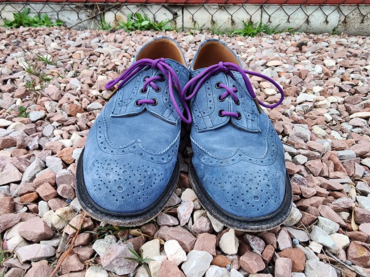 Photo by PrimordialOohs on April 6, 2023 of the Tricker's Bourton Country Shoe in Zonta Indigo Castorino Suede.