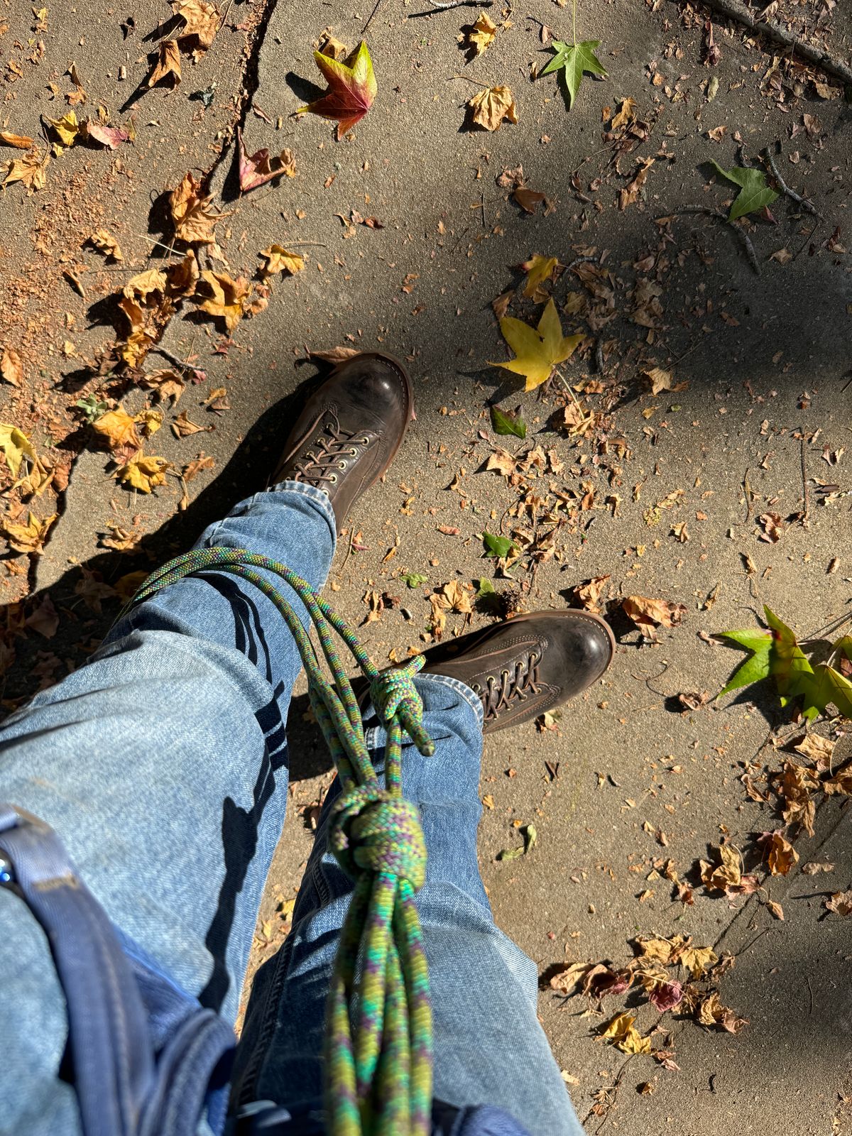 Photo by centralfornia on December 6, 2023 of the Wesco Jobmaster in Horween Black Chromexcel Horsehide.