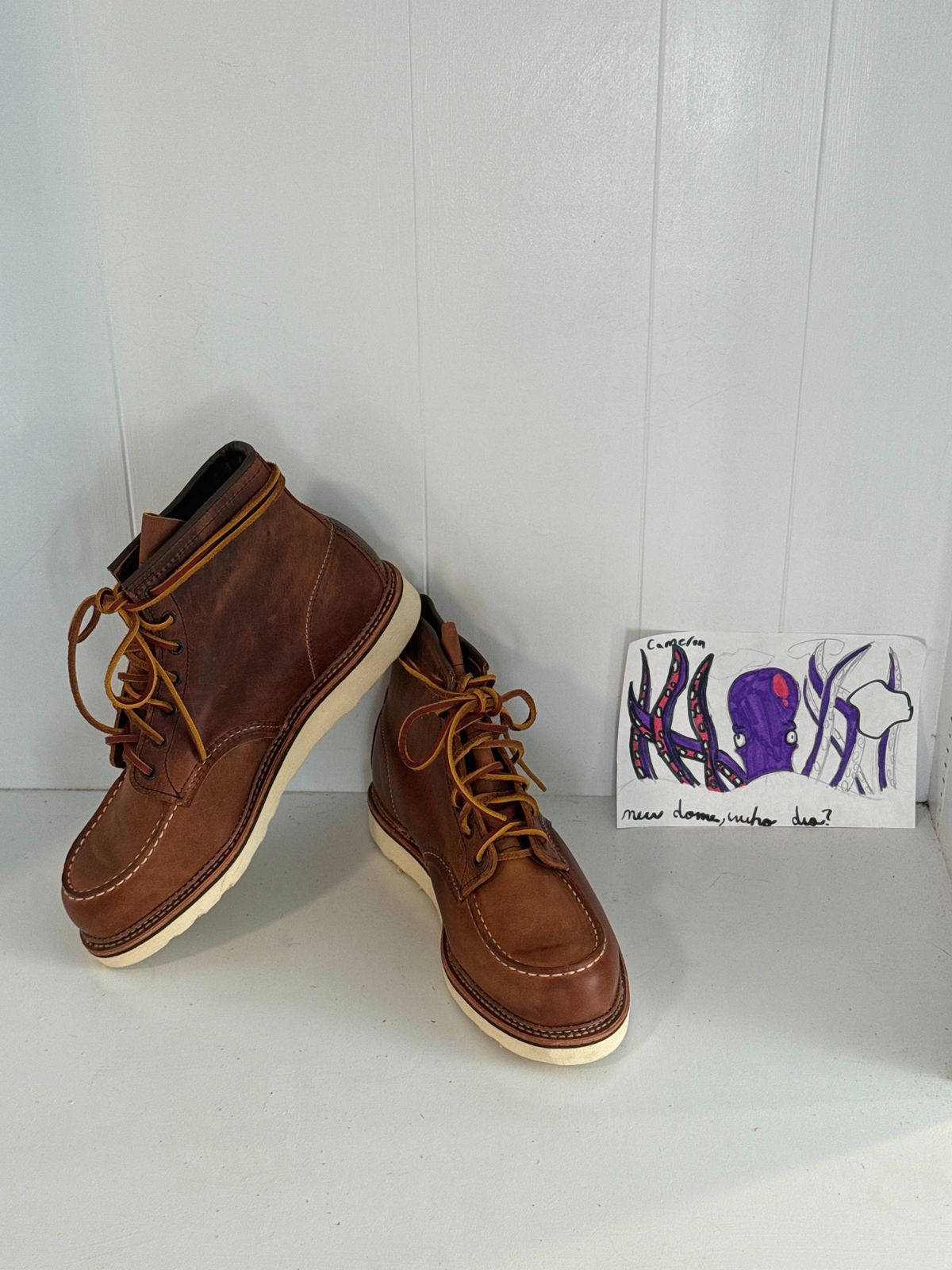 Photo by centralfornia on October 4, 2025 of the Red Wing 1907 Moc Toe in S.B. Foot Copper Rough and Tough.