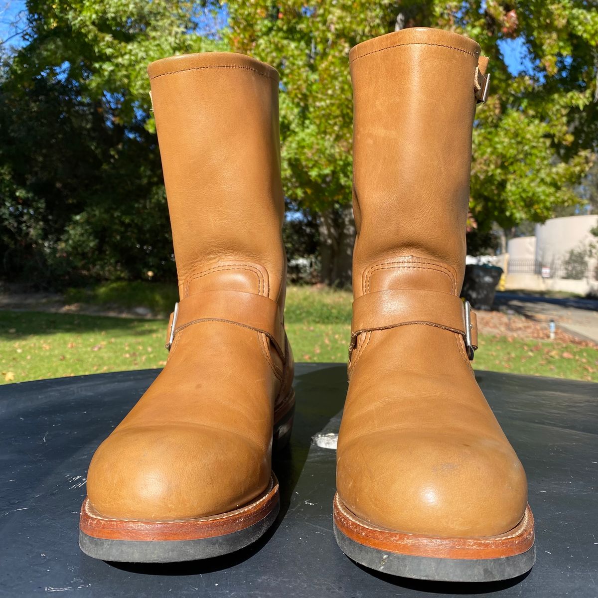 Photo by centralfornia on November 5, 2022 of the Red Wing Engineer in S.B. Foot Hawthorne Muleskinner.