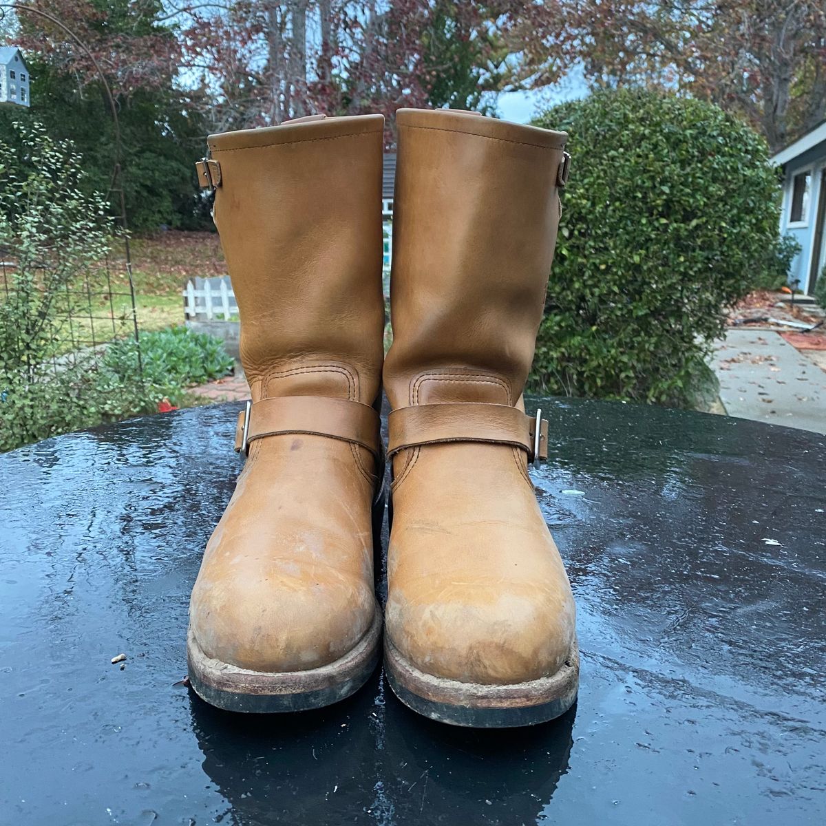 Photo by centralfornia on January 5, 2023 of the Red Wing Engineer in S.B. Foot Hawthorne Muleskinner.