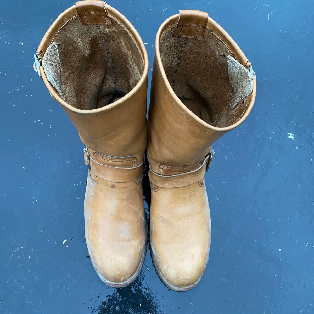 Photo by centralfornia on January 5, 2023 of the Red Wing Engineer in S.B. Foot Hawthorne Muleskinner.
