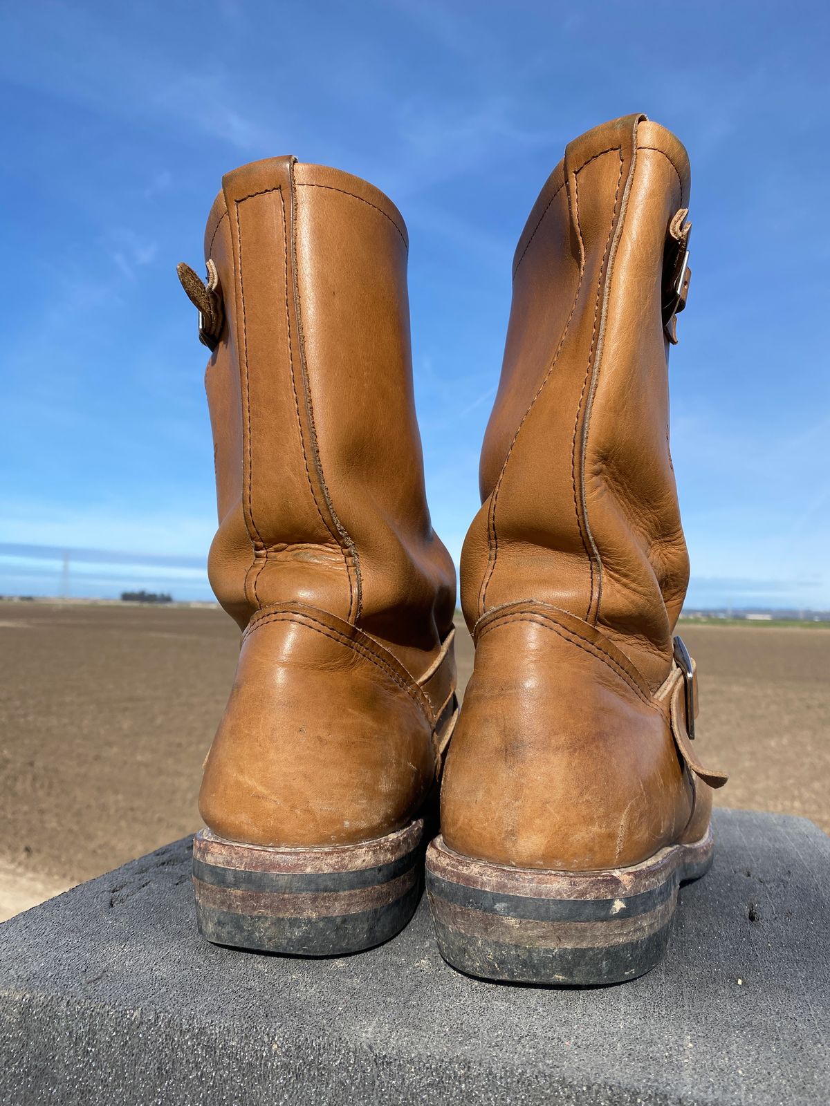 Photo by centralfornia on February 5, 2023 of the Red Wing Engineer in S.B. Foot Hawthorne Muleskinner.