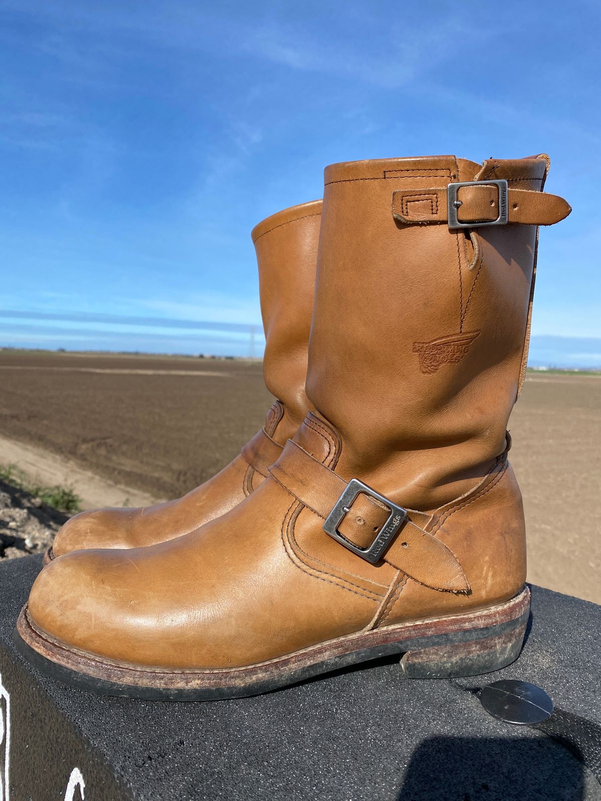 Photo by centralfornia on February 5, 2023 of the Red Wing Engineer in S.B. Foot Hawthorne Muleskinner.