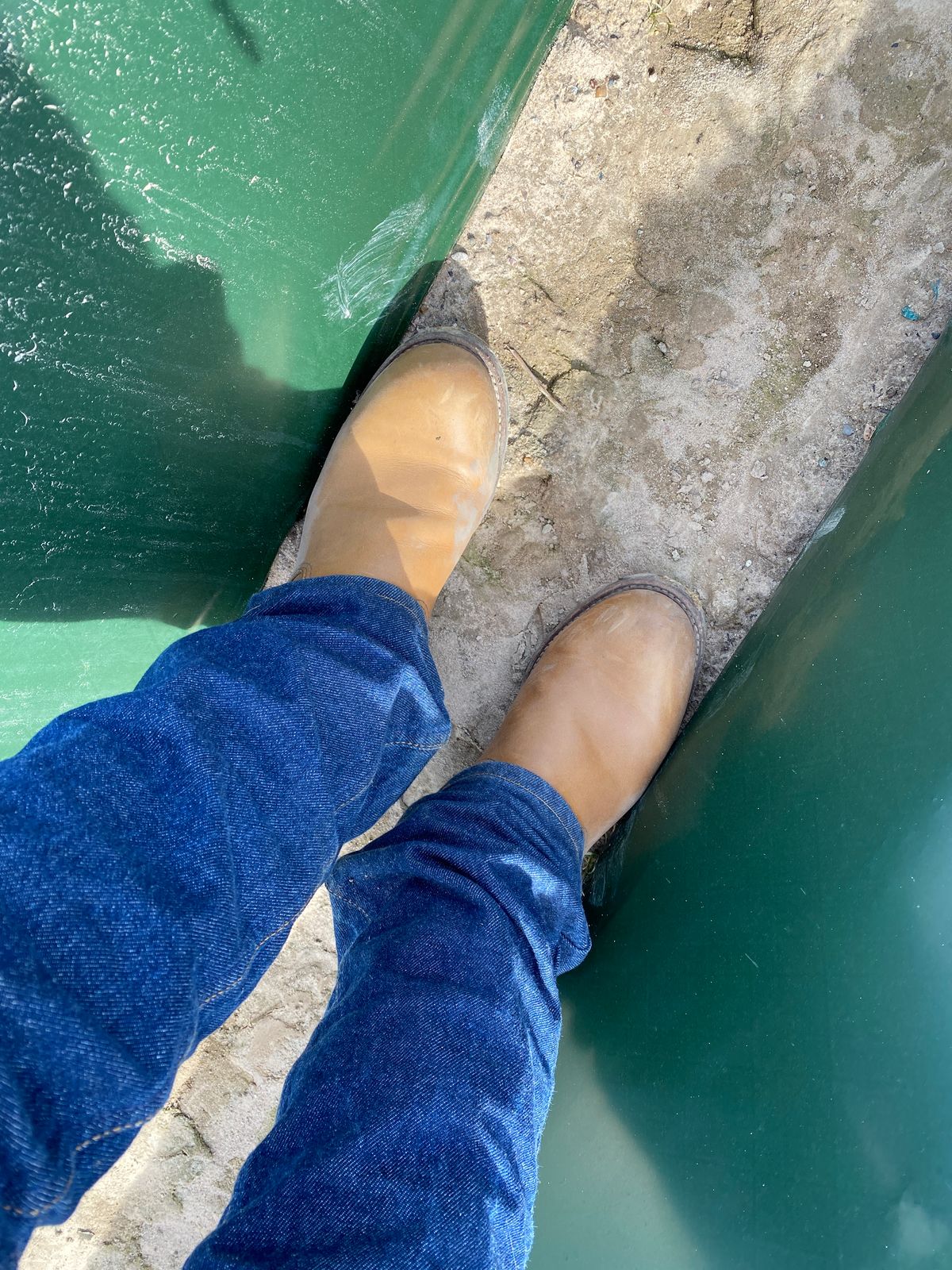 Photo by centralfornia on March 5, 2023 of the Red Wing Engineer in S.B. Foot Hawthorne Muleskinner.