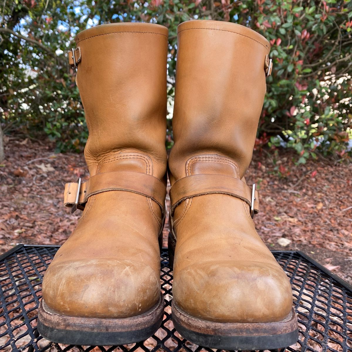 Photo by centralfornia on March 5, 2023 of the Red Wing Engineer in S.B. Foot Hawthorne Muleskinner.