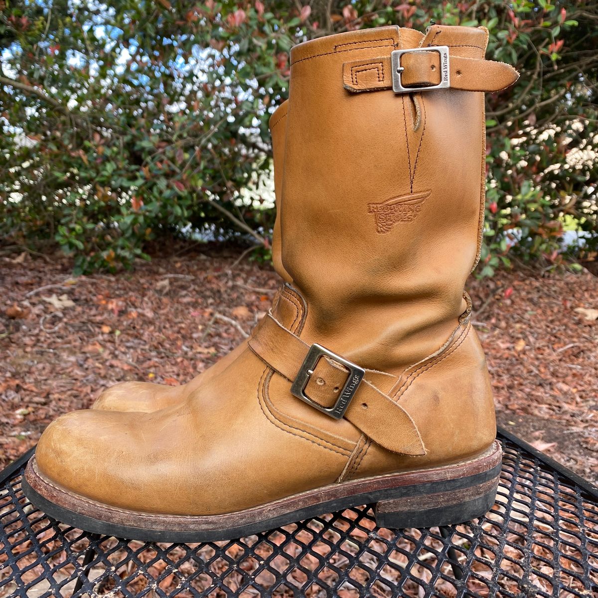 Photo by centralfornia on March 5, 2023 of the Red Wing Engineer in S.B. Foot Hawthorne Muleskinner.