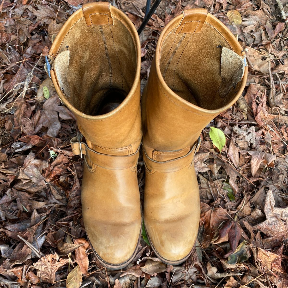 Photo by centralfornia on March 5, 2023 of the Red Wing Engineer in S.B. Foot Hawthorne Muleskinner.