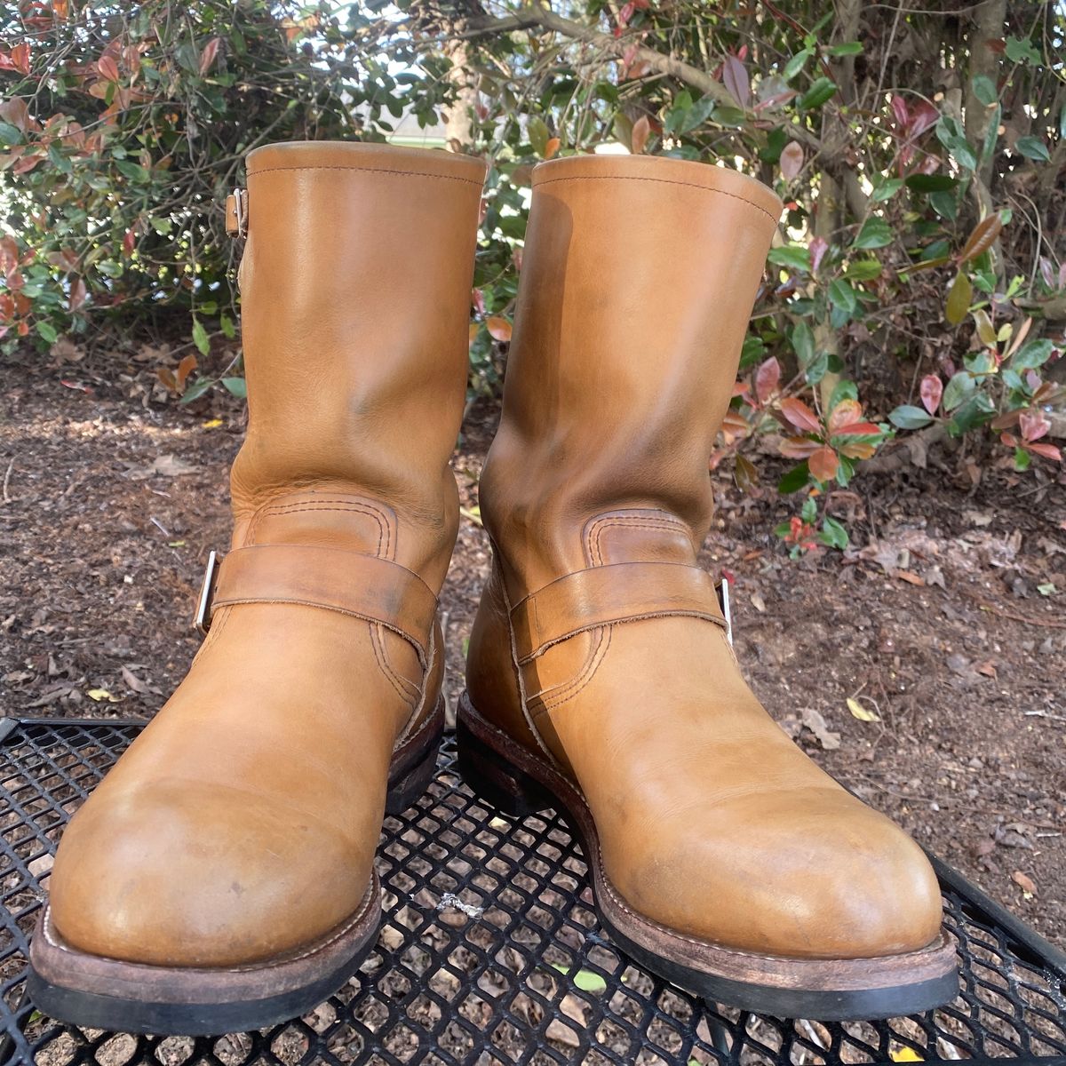 Photo by centralfornia on April 5, 2023 of the Red Wing Engineer in S.B. Foot Hawthorne Muleskinner.