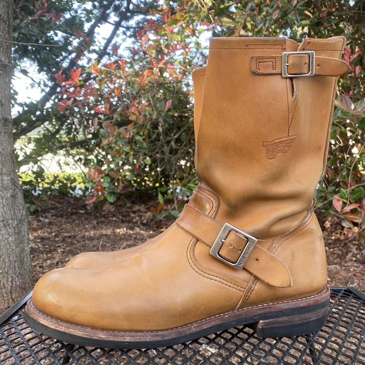 Photo by centralfornia on April 5, 2023 of the Red Wing Engineer in S.B. Foot Hawthorne Muleskinner.