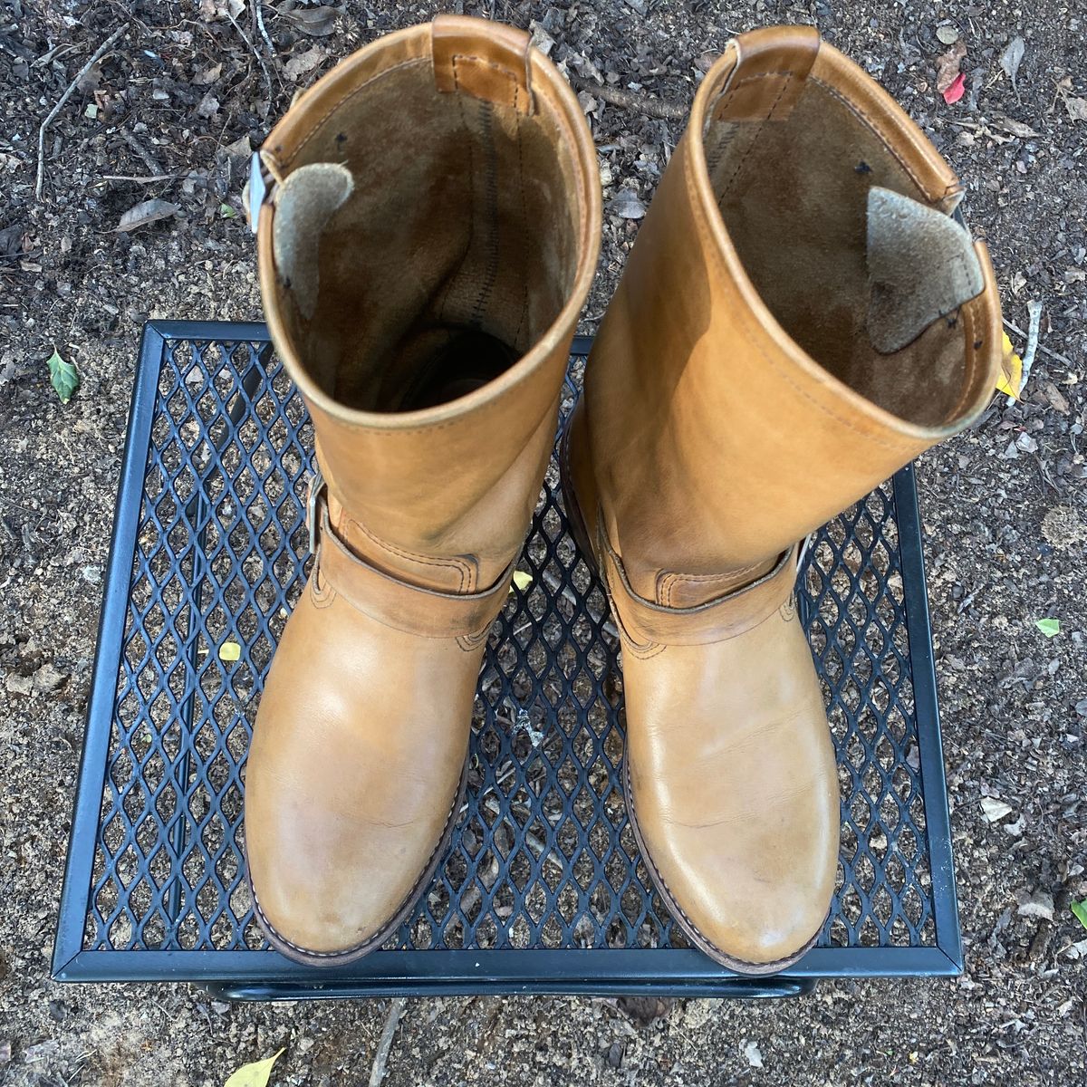 Photo by centralfornia on April 5, 2023 of the Red Wing Engineer in S.B. Foot Hawthorne Muleskinner.