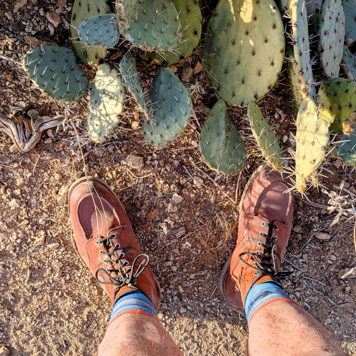 Photo by theworkwearkit on January 5, 2025 of the Red Wing 875 in Red Wing / Brown.