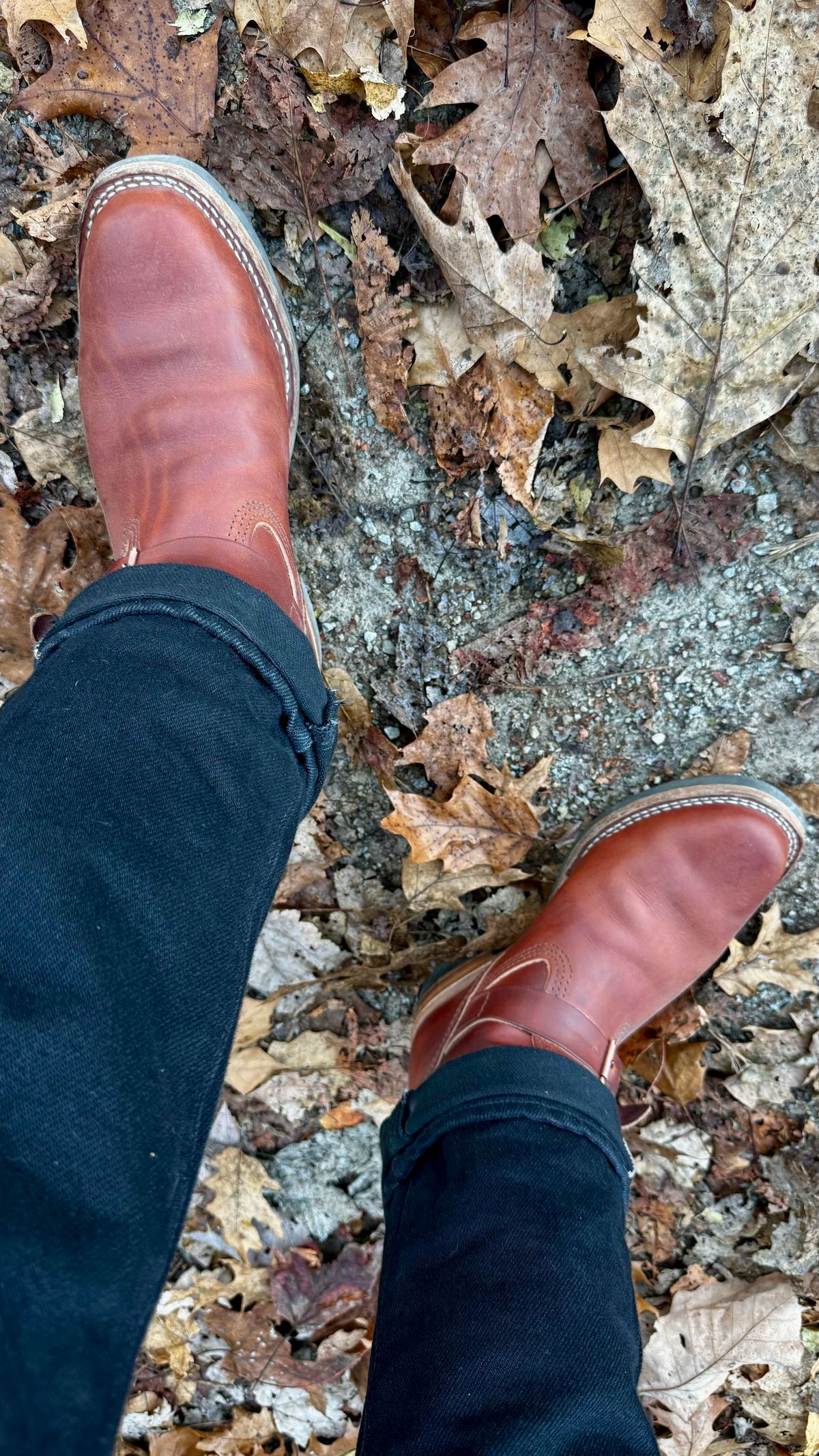 Photo by Leetsalot on November 6, 2024 of the Wesco Mister Lou in Wickett & Craig Tan Oiled Latigo.