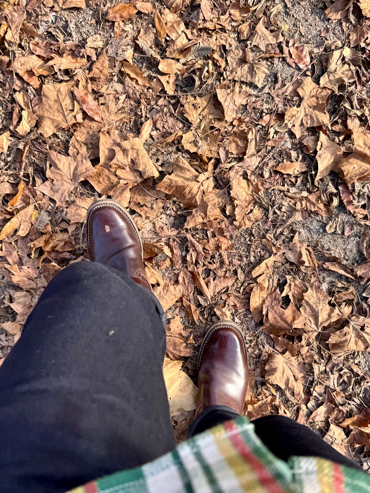 Photo by Leetsalot on November 4, 2023 of the Wesco Mister Lou in Horween Brown Chromexcel.