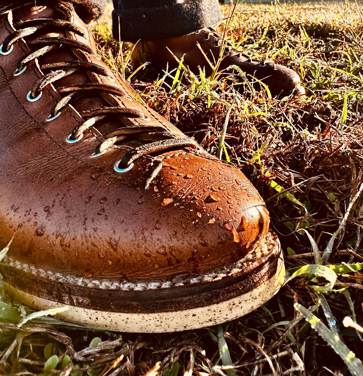 Photo by Bedrock on November 2, 2025 of the Oldspeed Wholecut Monkey in Horween Natural Chromexcel.