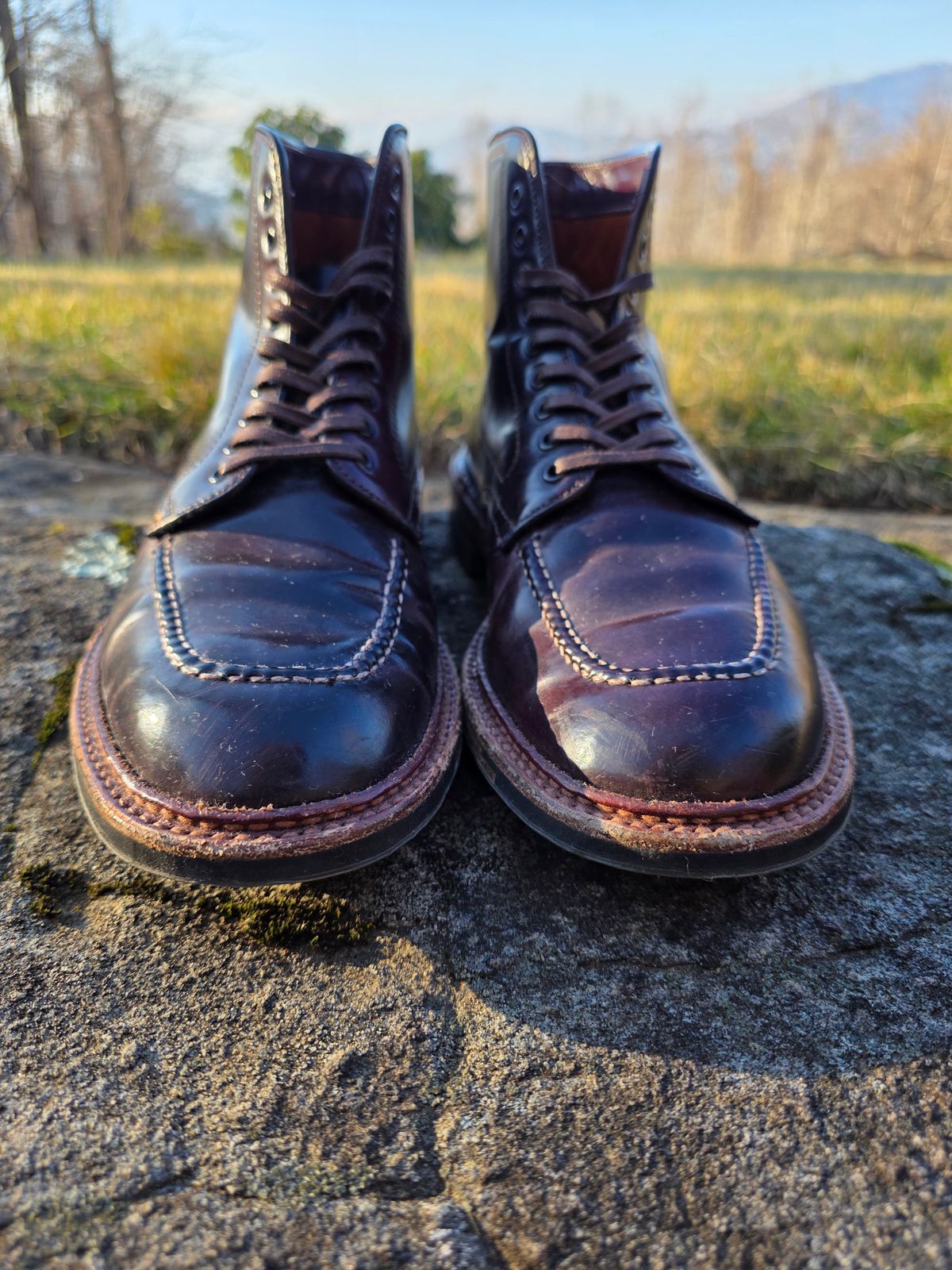 Photo by redfishjoefish on January 5, 2026 of the Alden Indy Boot in Horween Color 8 Shell Cordovan.