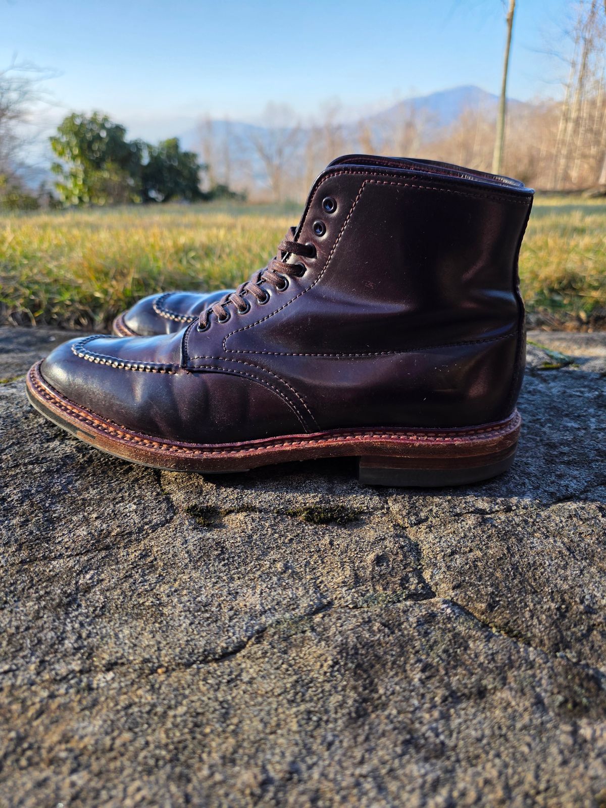 Photo by redfishjoefish on January 5, 2026 of the Alden Indy Boot in Horween Color 8 Shell Cordovan.