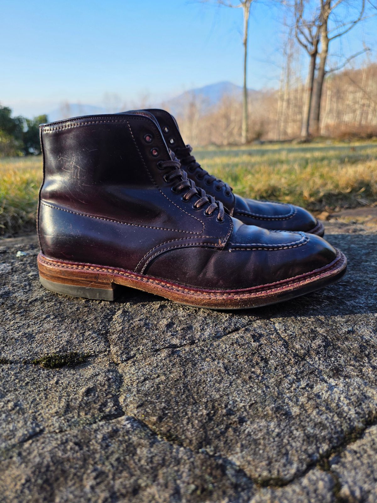Photo by redfishjoefish on January 5, 2026 of the Alden Indy Boot in Horween Color 8 Shell Cordovan.