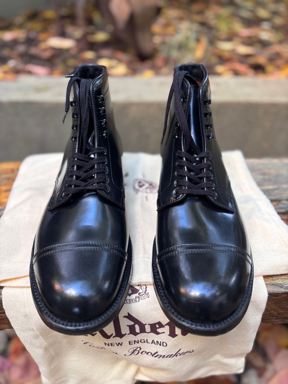 Photo by Way2Jeff on November 1, 2025 of the Alden Cavalry Boot in Horween Black Shell Cordovan.